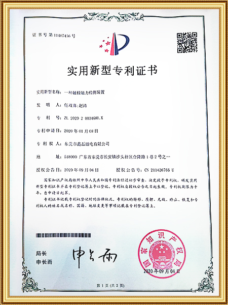 一種磁極磁力檢測裝置證書